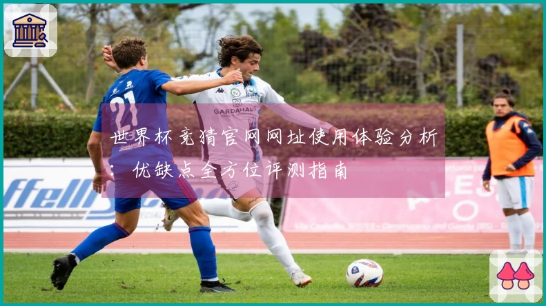 世界杯竞猜官网网址使用体验分析：优缺点全方位评测指南