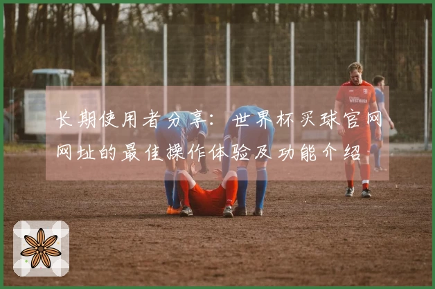 长期使用者分享：世界杯买球官网网址的最佳操作体验及功能介绍