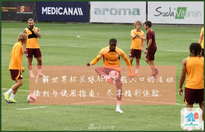 了解世界杯买球APP下载入口的活动福利与使用指南，尽享精彩体验