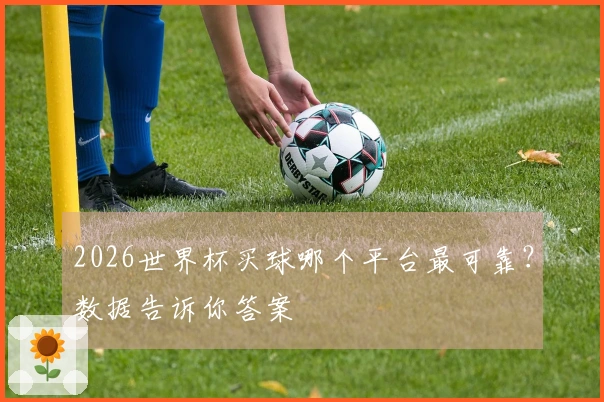 2026世界杯买球哪个平台最可靠？数据告诉你答案