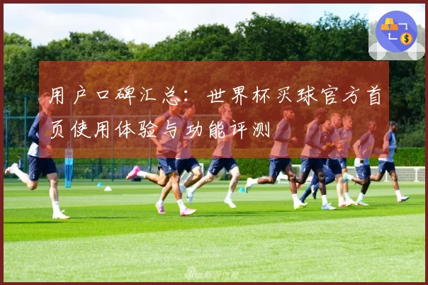 用户口碑汇总：世界杯买球官方首页使用体验与功能评测