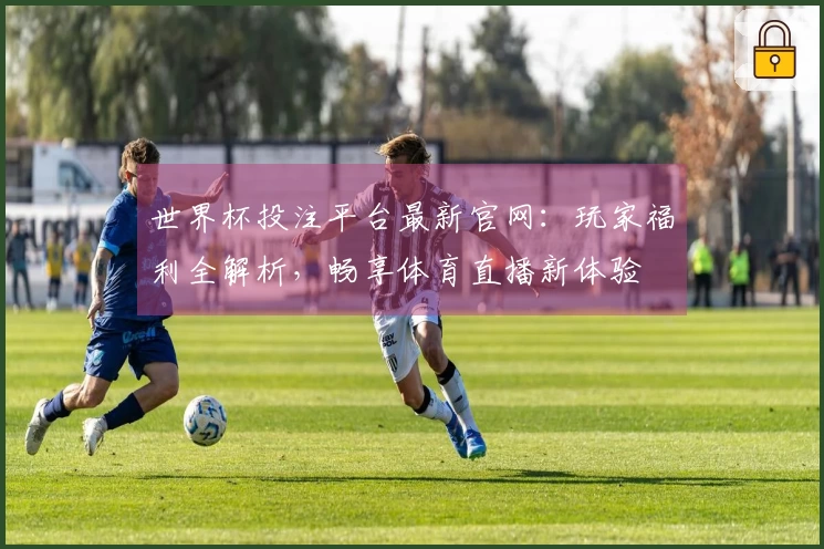 世界杯投注平台最新官网：玩家福利全解析，畅享体育直播新体验