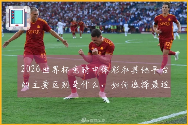 2026世界杯竞猜中体彩和其他平台的主要区别是什么，如何选择最适合的下注方式？