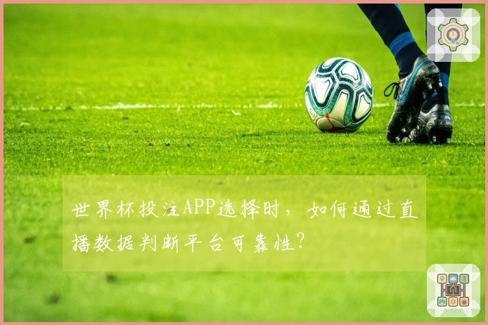 世界杯投注APP选择时，如何通过直播数据判断平台可靠性？