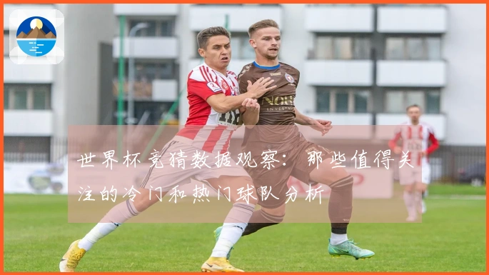 世界杯竞猜数据观察：那些值得关注的冷门和热门球队分析