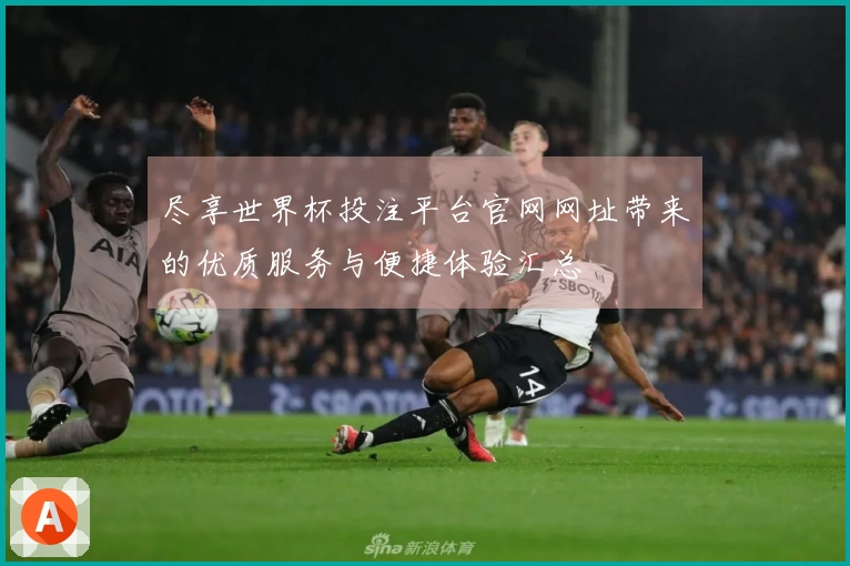 尽享世界杯投注平台官网网址带来的优质服务与便捷体验汇总