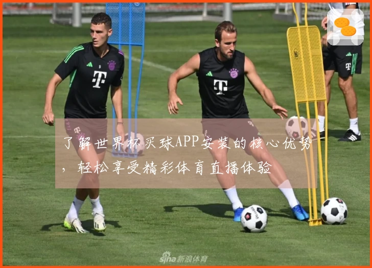 了解世界杯买球APP安装的核心优势，轻松享受精彩体育直播体验