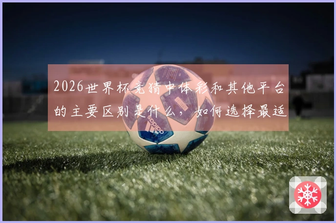 2026世界杯竞猜中体彩和其他平台的主要区别是什么，如何选择最适合的下注方式？