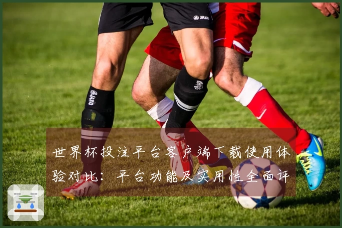 世界杯投注平台客户端下载使用体验对比：平台功能及实用性全面评测