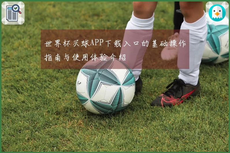 世界杯买球APP下载入口的基础操作指南与使用体验介绍