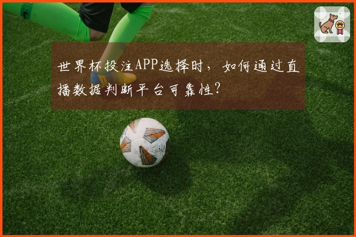 世界杯投注APP选择时，如何通过直播数据判断平台可靠性？